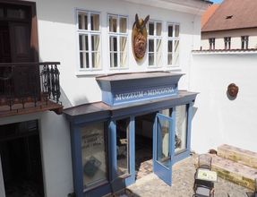 Muzeum Wallensteina i mennica Jiczin